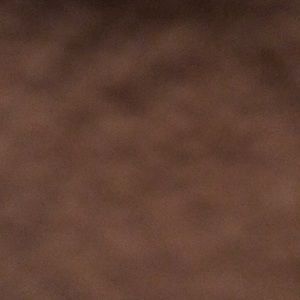 Meet your Posher, Jemonde